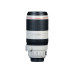 Canon EF 100-400mm f/4.5-5.6L II IS USM
