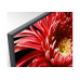 Sony KD-55XG8505