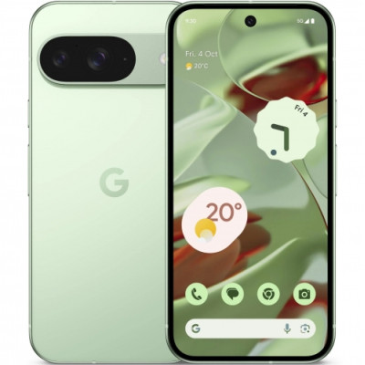 Google Pixel 9 12/256GB Wintergreen