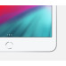 Apple iPad mini 5 Wi-Fi 256GB Silver (MUU52)