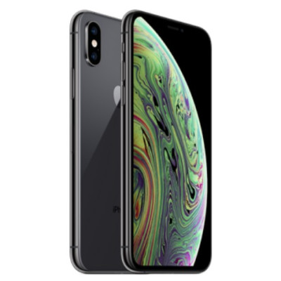 Apple iPhone XS 512GB Space Gray (MT9L2)