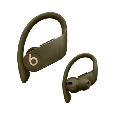 Наушники TWS ("полностью беспроводные") Beats by Dr. Dre Powerbeats Pro Moss (MV712)