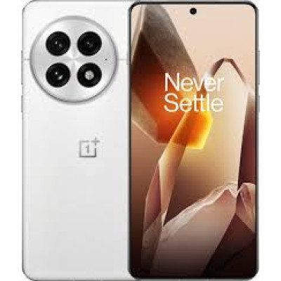 OnePlus 13 24/1TB Arctic Dawn