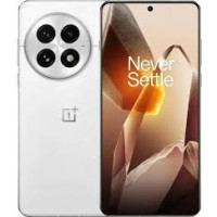 OnePlus 13 24/1TB Arctic Dawn EU