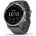 Garmin vivoactive 4 Shadow Gray/Silver (010-02174-03/010-02174-01)