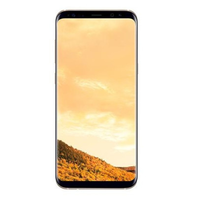 Samsung Galaxy S8+ 64GB Gold (SM-G955FZDD)