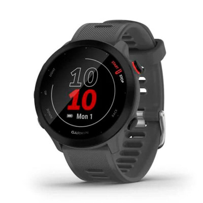 Garmin Forerunner 55 Monterra Grey (010-02562-13)