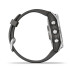 Garmin Fenix 7S Silver with Graphite Band (010-02539-00/01)