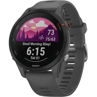 Garmin Forerunner 255 Slate Gray (010-02641-00/10/43)